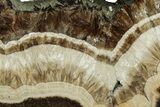 Polished Barite and Marcasite Slab - Lubin Mine, Poland #335172-1